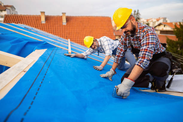 Best Local Roofing Companies  in Warren, PA